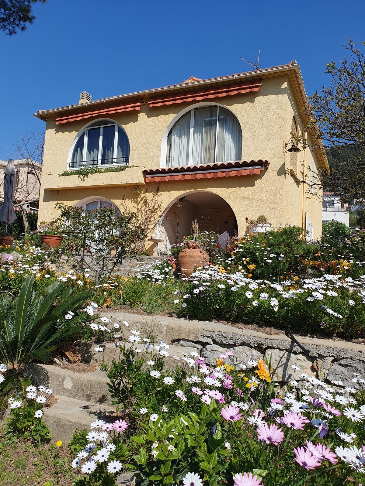 Host profile image
