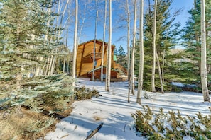 Interior - 3 Mi to Angel Fire Resort! Quaint Apt on 2 Acres (Angel Fire)