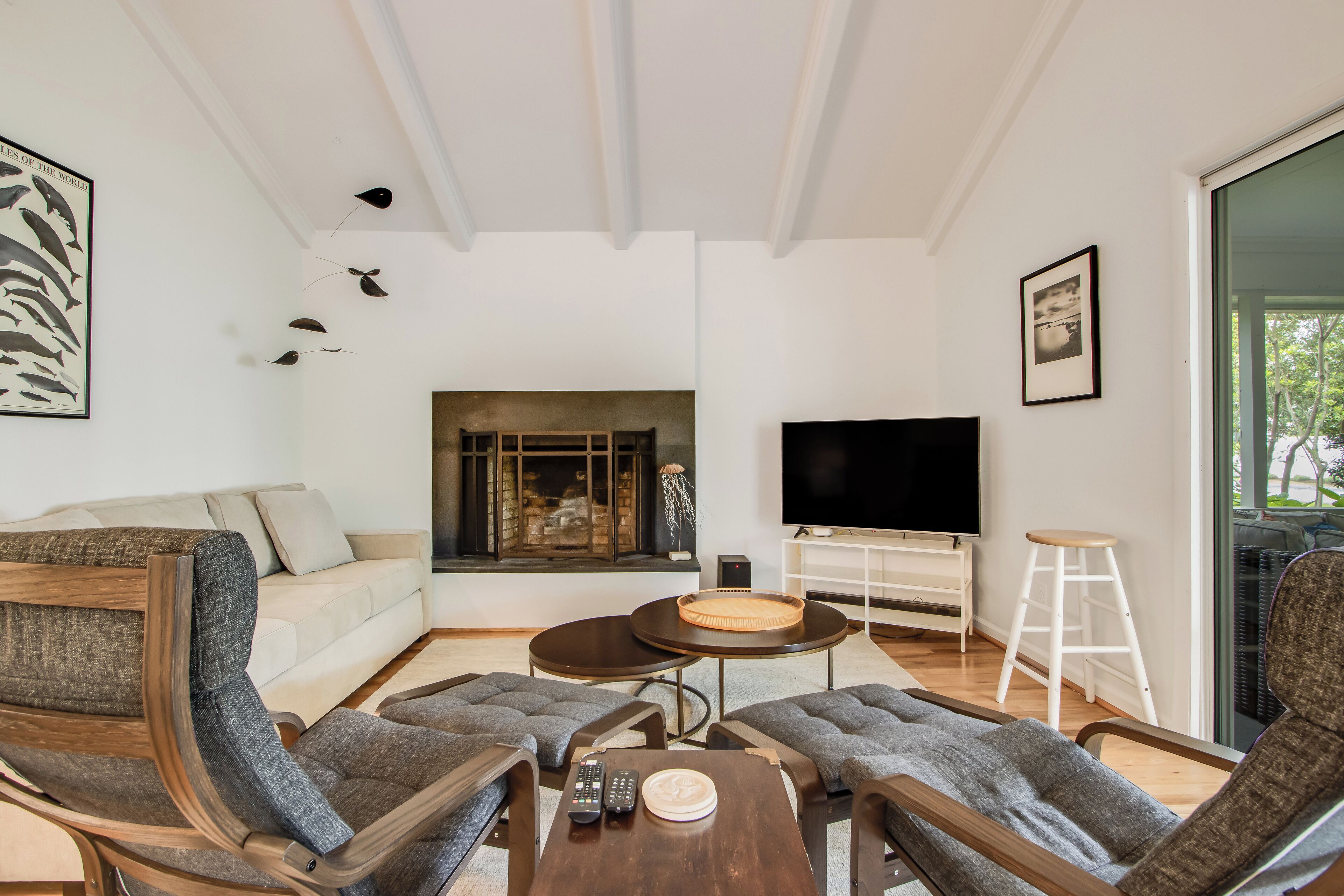 Smart TV, chimenea y libros 