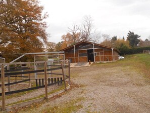 Exterior - Tranquil cottage with SPA, garden and pond, pets allowed for 6 guests (BEZENET)