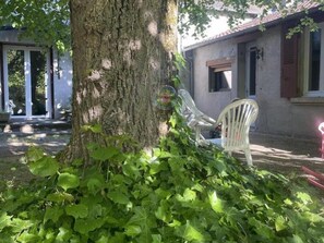 Ein Baum mit einem Stuhl und einem Haus im Hintergrund.