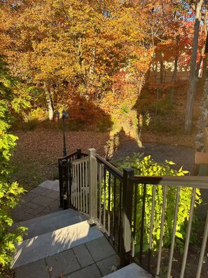 Property grounds - Le Vieil Âtre - Rustic & cosy chalet (Saint-Jean-Port-Joli)