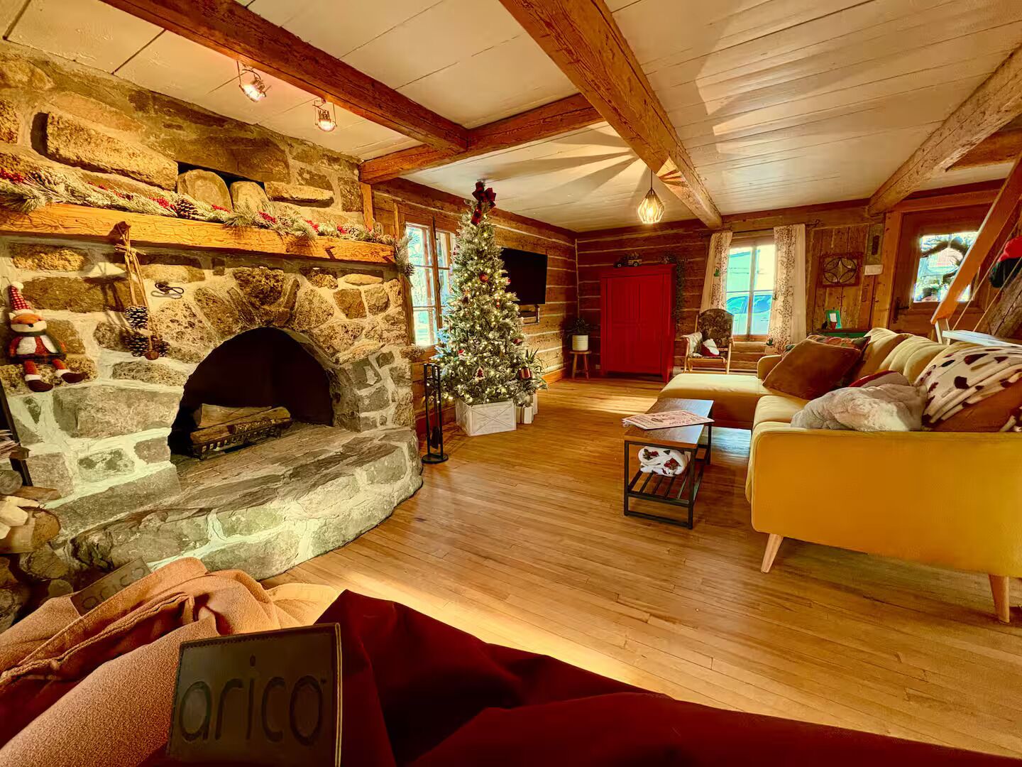 TV connectée, cheminée, livres