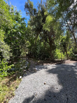 A gravel path surrounded by dense greenery and trees. - Gorgeous 1-bedroom cabin in San Carlos de Bariloche awaits you (San Carlos de Bariloche)