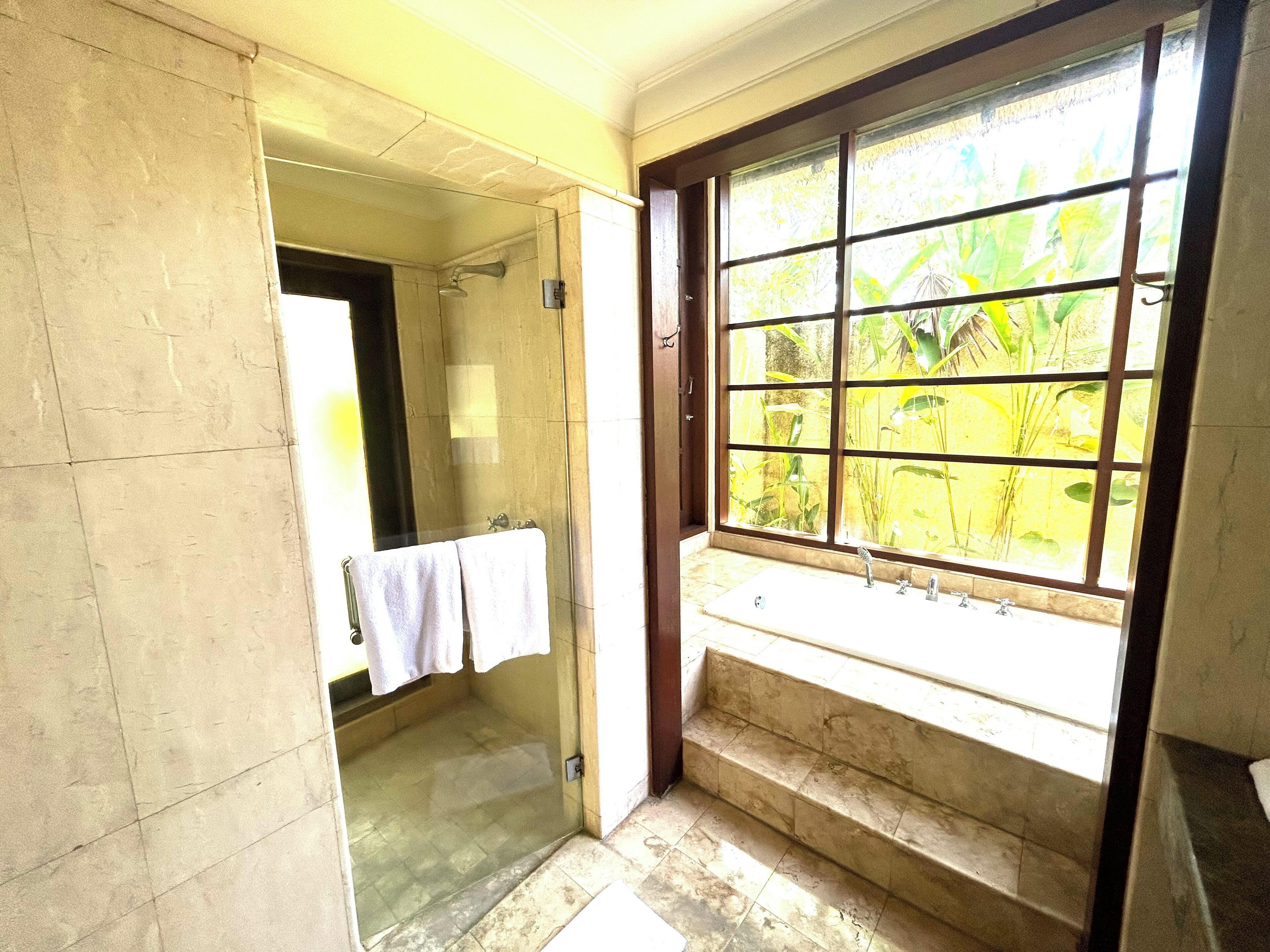 Casa de banho com chuveiro, janela com vista para vegetação e lavatório com espelho.