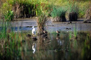 Miscellaneous - Quirky and cozy stay in the heart of Parkville for who loves travelling and food (Parkville)