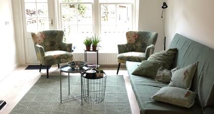 Delightful luxury home for business and private travelers (10P). Heart of downtown!