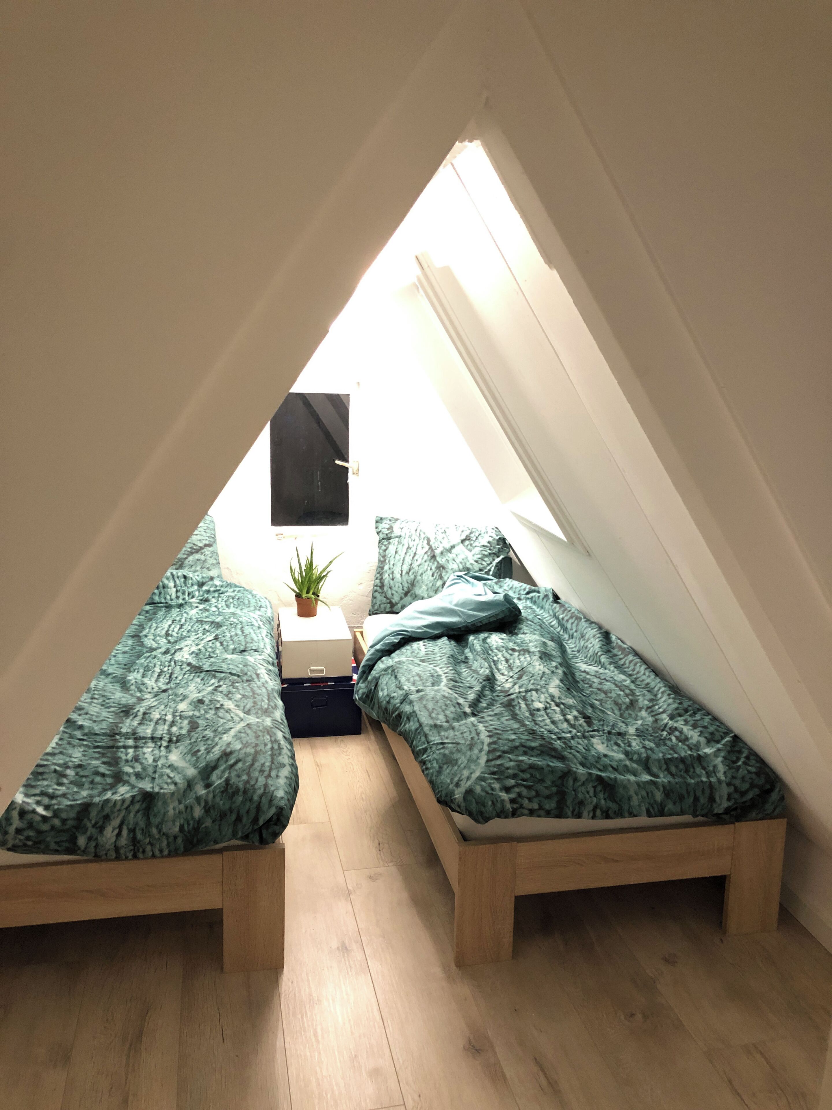 Bügeleisen/Bügelbrett, WLAN, Bettwäsche