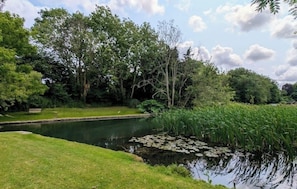Property grounds - Stunning 2-bedroom waterside apartment on the edge of the New Forest (Bickton)