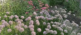 Spacious getaway in peaceful Ephraim - just few minutes away from Sister Bay