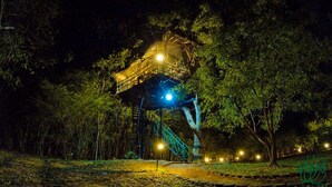 A large, illuminated structure resembling a treehouse in a forest at night.