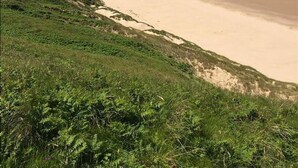A coastal landscape with a sandy beach, grassy hills, and a clear blue sky. - 2 Bed in Llanmadoc (oc-hh469) (Llanmadoc)