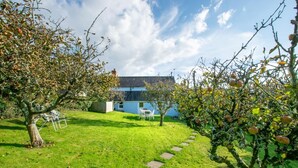 Een tuin met een gazon, een pad en een gebouw met een blauwe gevel.