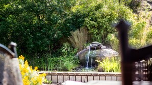 A garden with a waterfall, rocks, and various plants. - Apartment '4 Leuchtturm' with Shared Garden, Balcony and Wi-Fi (Seedorf)