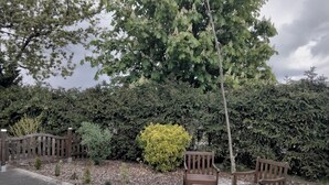 A paved garden area with two wooden benches, a small hedge, and a wooden fence. - Vacation in the countryside with a pet (Rathenow)