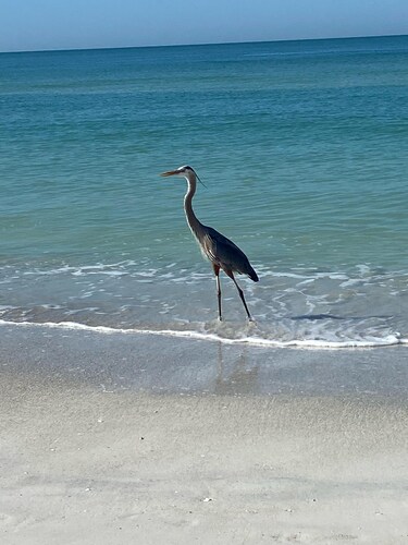 Private suite 3 miles frombeach