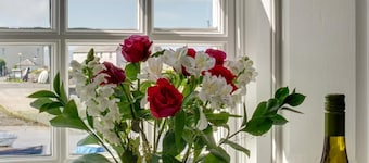 2 Bed in Aberaeron (oc-bow173)