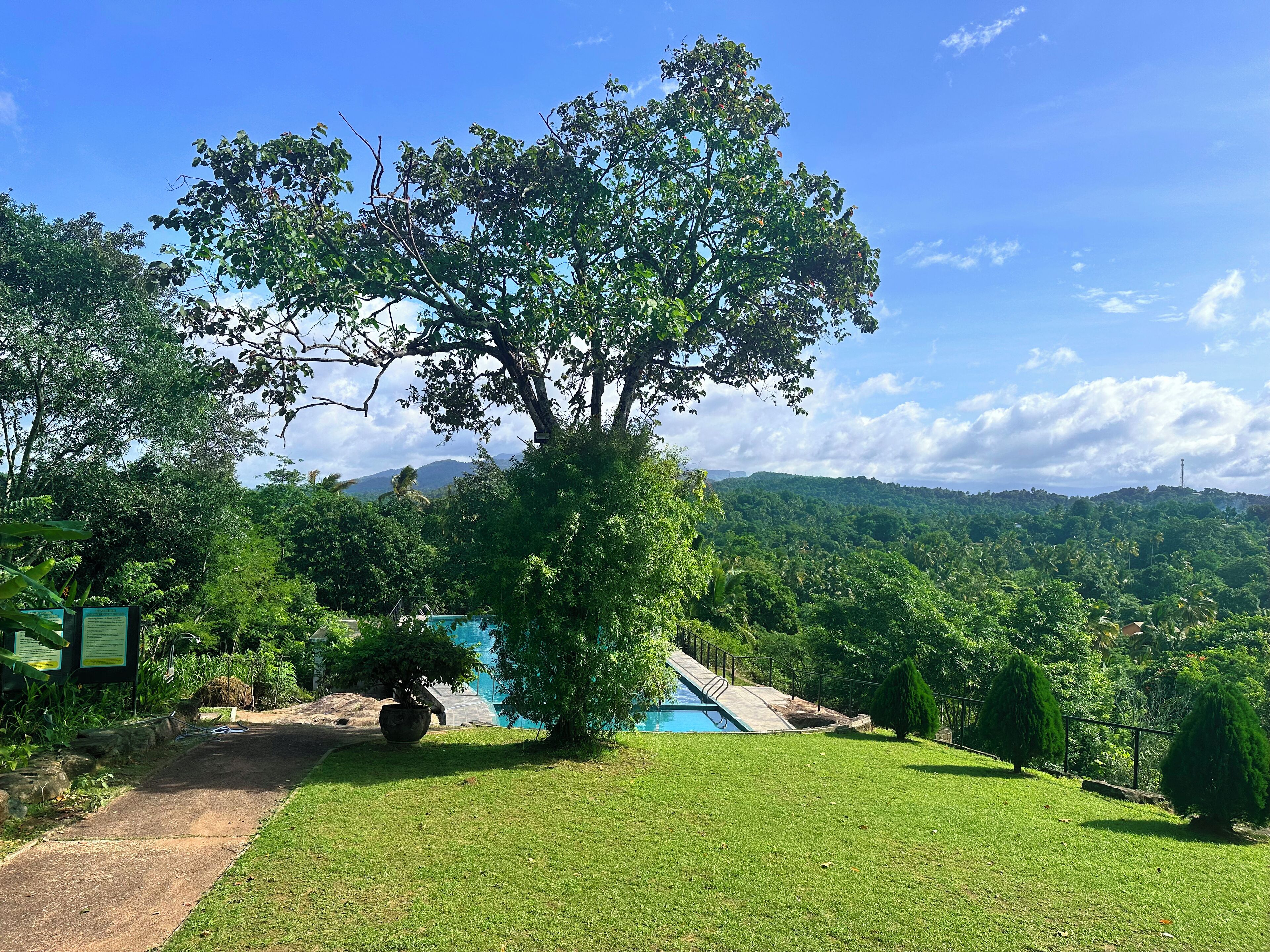 A lush green landscape with a swimming pool, a large tree, and a view of distant mountains.