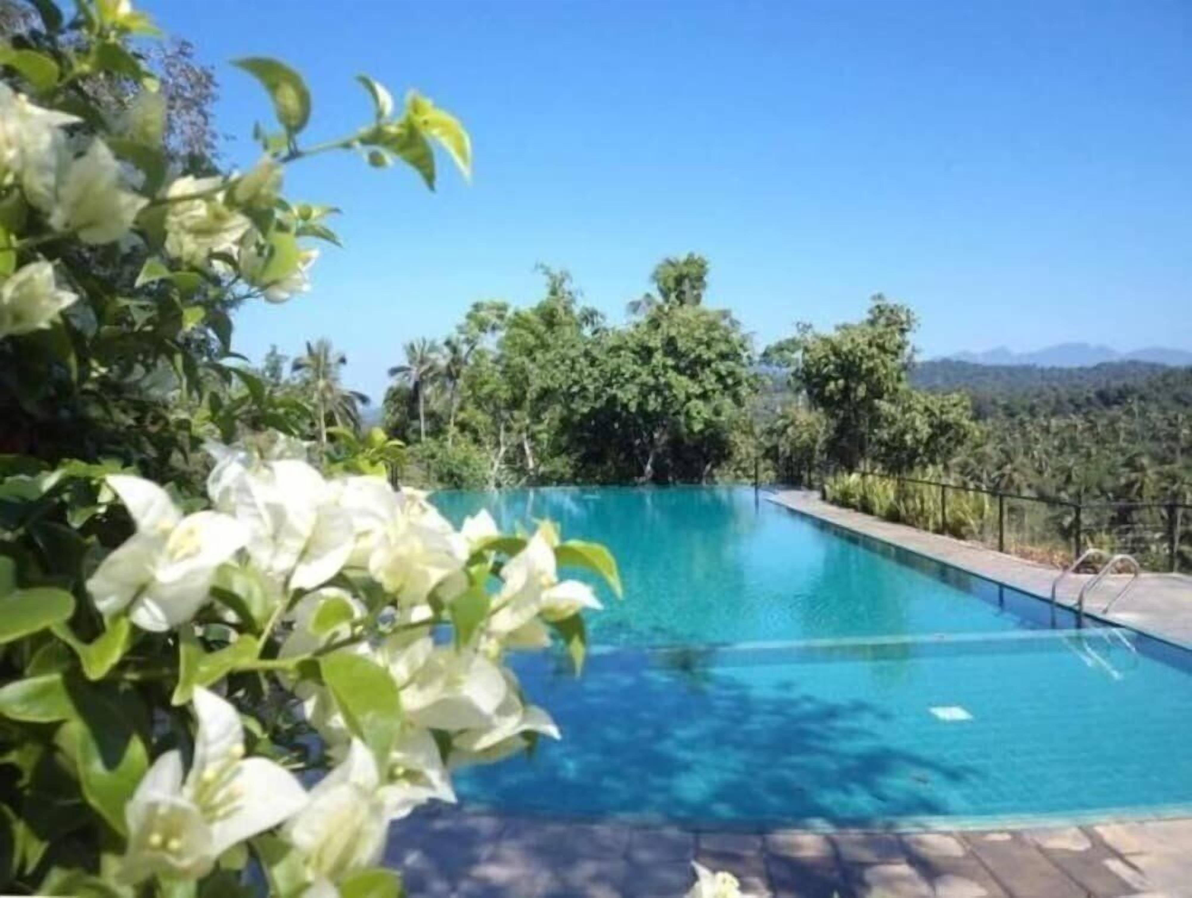 Hồ bơi ngoài trời 