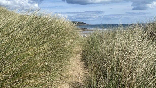 A sandy path flanked by tall grass leading to a beach with a clear sky and distant hills. - 5 Bed in Llanmadoc (oc-hh2111) (Llanmadoc)