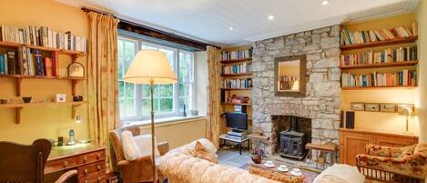 Télévision, cheminée