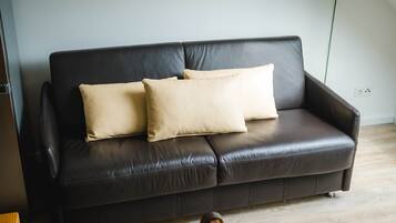 Fernseher
