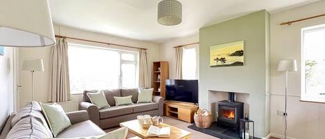 Télévision, cheminée