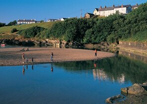 Beach - 1 Bed in Aberaeron (oc-bow300) (Llwyncelyn)