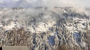 A mountainous landscape with snow-covered trees and a clear sky. - Le refuge d'Anny - Three Bedroom Apartment, Sleeps 8 (Vaujany)