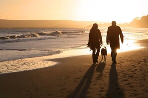 Two people walking on a beach with a dog, with the sun setting in the background. - 1 Bed in Carmarthen (oc-waw218) (Carmarthen)