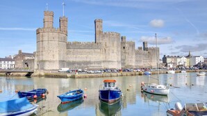 Un castillo histórico con un foso, rodeado por un puerto con diversos barcos.
