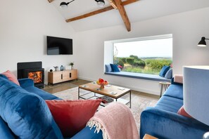 Televisión y chimenea 