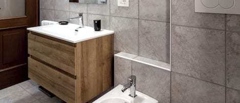 Shower, hair dryer, bidet, towels