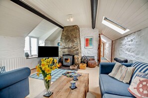 Televisión y chimenea 