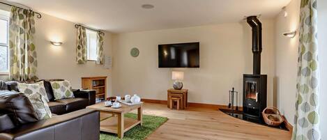 Télévision, cheminée