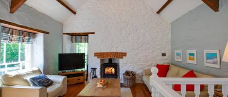 Televisión y chimenea