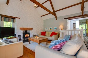 TV, fireplace - 3 Bed in Aberporth (oc-g27666) (Aberporth)