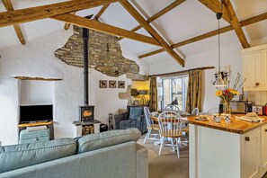 TV, fireplace - 1 Bed in Bodmin (oc-c28120) (Cardinham)