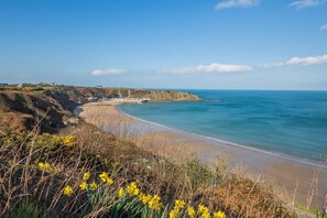 Un paysage côtier avec une plage, des falaises et un ciel dégagé.