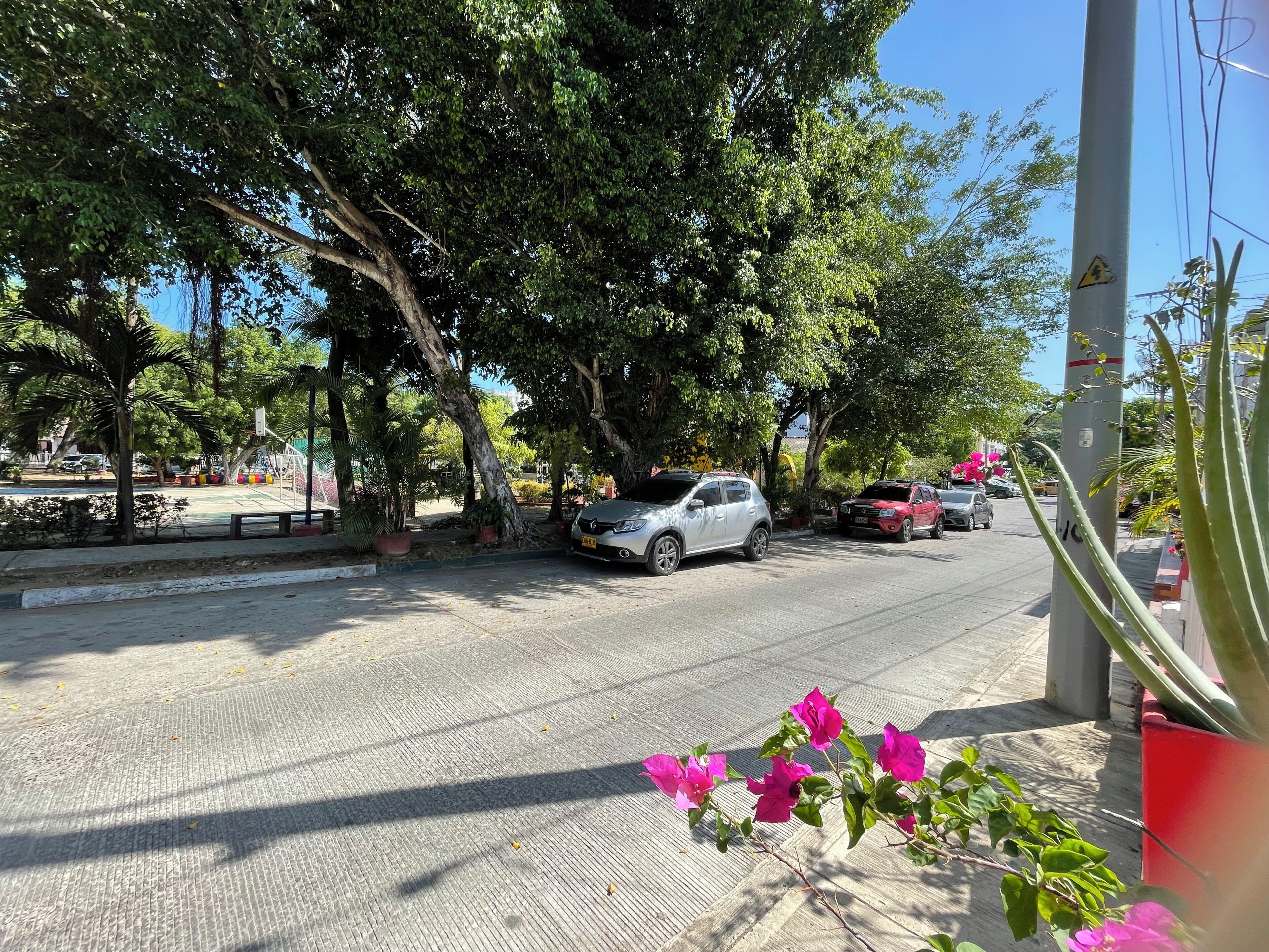 Park view
