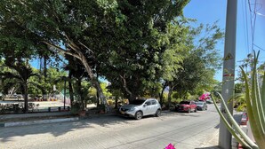 Calle bordeada de árboles y coches aparcados.