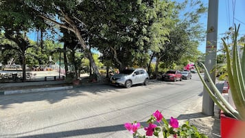 Park view