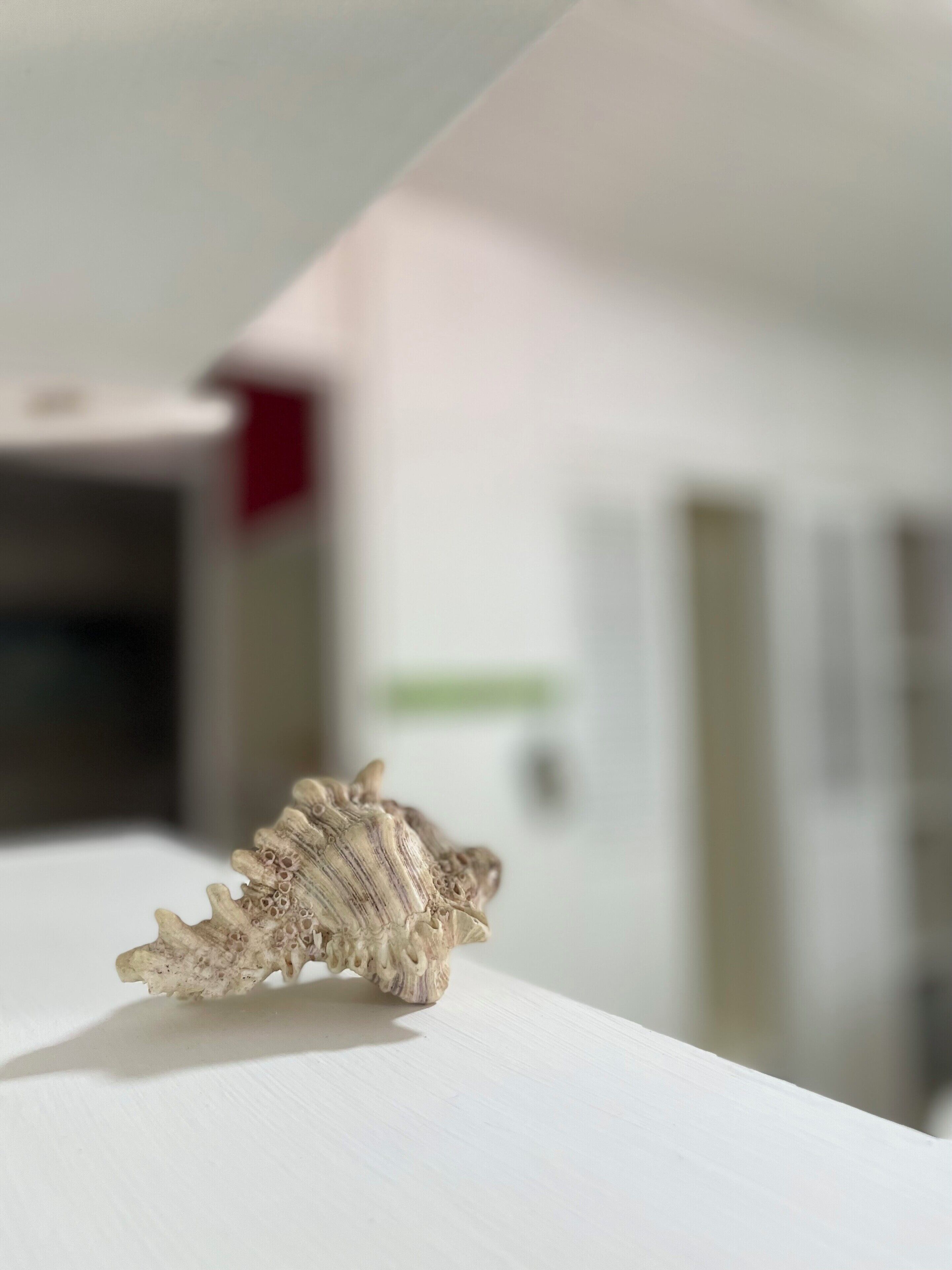 Family Triple Room, Garden View