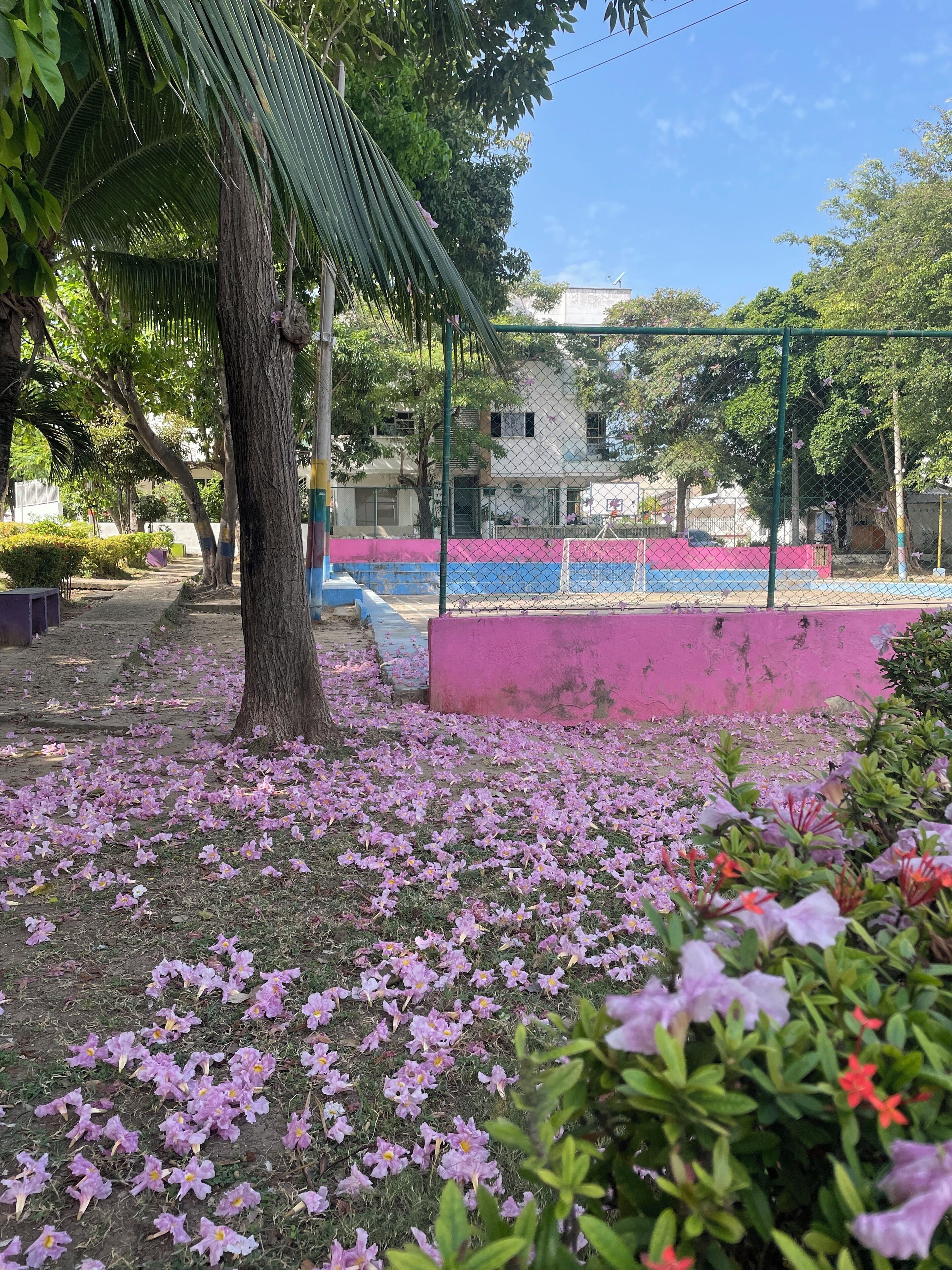 Área externa para banquete