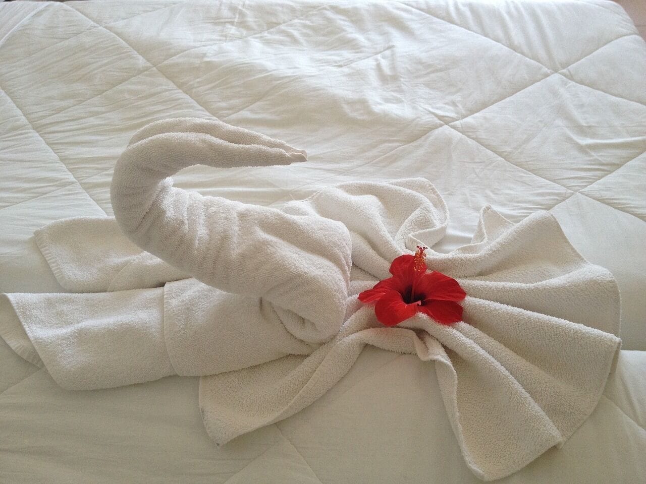 A neatly folded white towel with a red hibiscus flower on a bed with a white quilted cover.