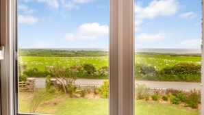 Blick aus einem Fenster auf ein grünes Feld mit Schafen, eine Steinmauer und einen klaren Himmel.