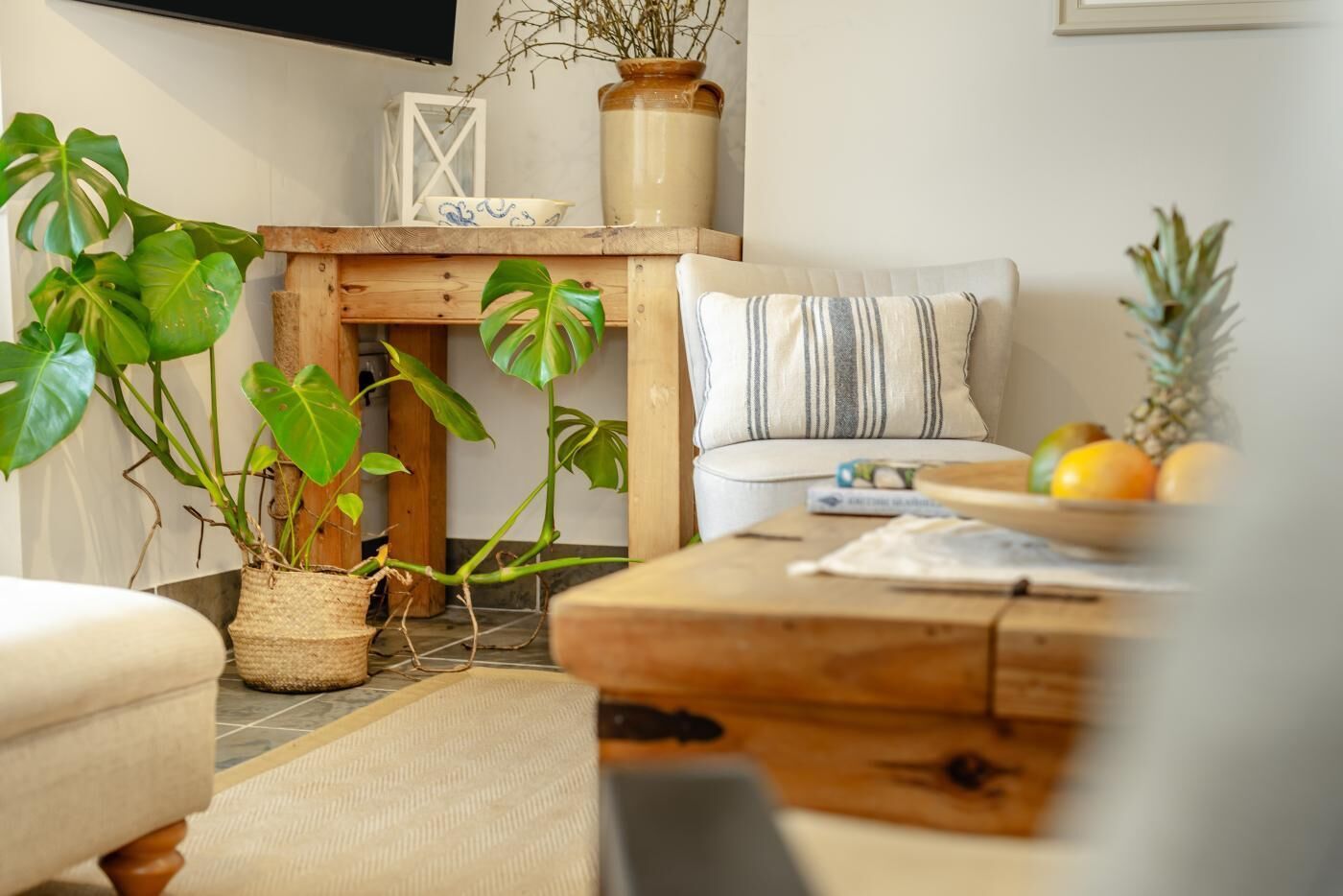 A cozy living room with a sofa, a coffee table, and potted plants.