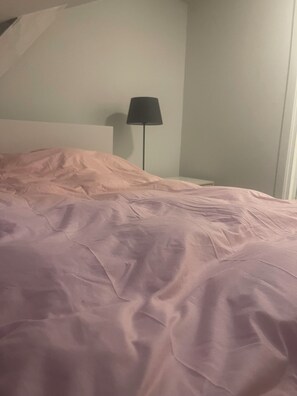 Iron/ironing board, internet, bed sheets - Oslo vulkan center (Oslo)