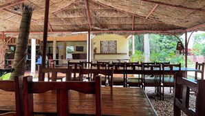 An outdoor dining area with wooden tables and chairs, a thatched roof, and a view of greenery.