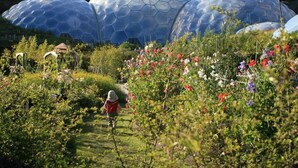 A garden with three large geodesic domes and a child walking on a path. - 4 Bed in Torpoint (oc-m30122) (Downderry)
